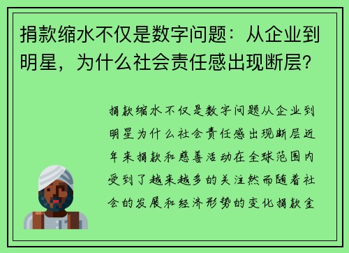 捐款缩水不仅是数字问题：从企业到明星，为什么社会责任感出现断层？