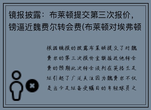 镜报披露：布莱顿提交第三次报价，镑逼近魏费尔转会费(布莱顿对埃弗顿比分预测)
